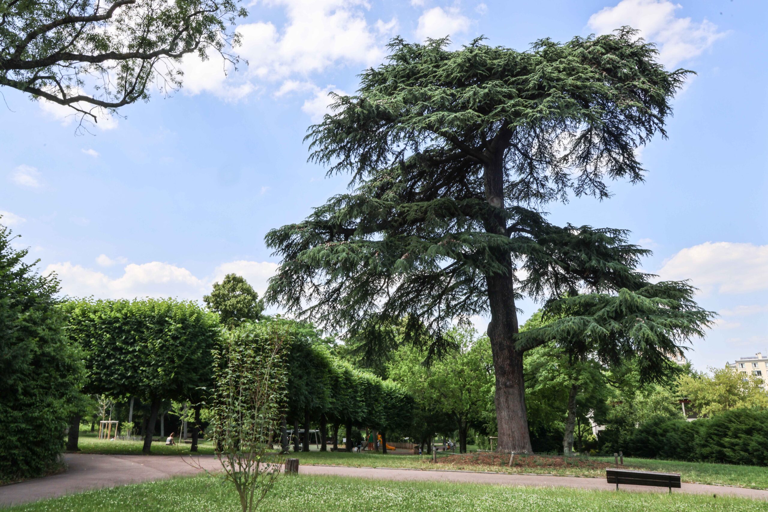 A Vanves, la nature se cultive – Ville de Vanves.fr